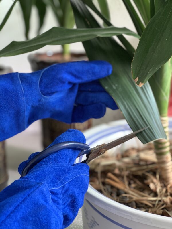 Sheepskin Long Garden Gloves Protective Gear for Plant