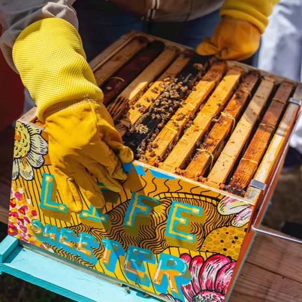 Hot Sale Goatskin Long Breathale Yellow Beekeeping Gloves