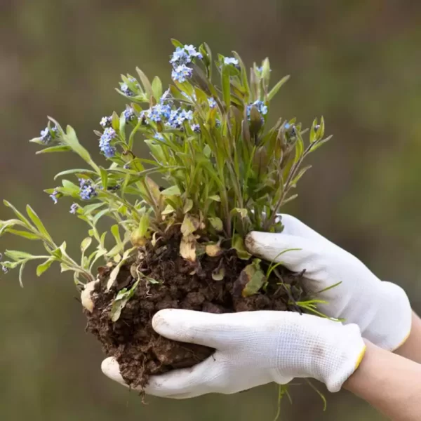 Xingyu| Brand New Custom Work Gloves with High Quality